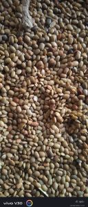 Horse Gram Seeds