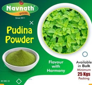 Pudina Powder