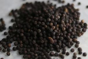 Bold Organic Black Pepper Dried, Grade Standard : Food Grade, Form : Seed