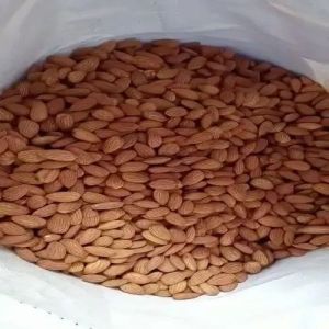 American Almond Nut