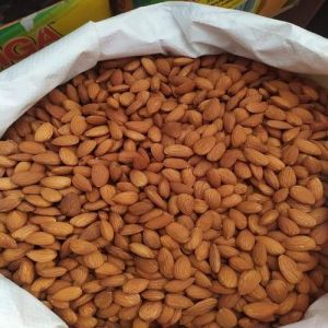 Common Hard American Almond Nuts, Color : White, Red, Creamy