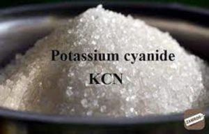 Cleaning Gold Potassium Cyanide Powder