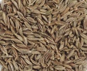 Brown Cumin Seeds