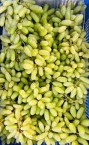 Natural Grape, Color : Green, Packaging Size : 5Kg, 15Kg, 25Kg