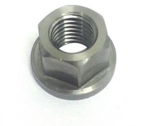 MS Hex Flange Nut