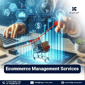Ecommerce Management Services