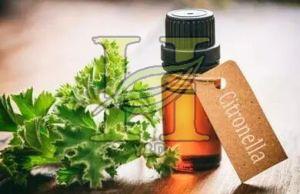 Organic Citronella Oil, Form : Liquid, Purity : 90%,  purity : 99%