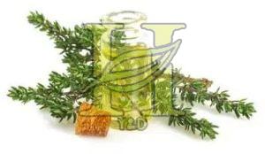 Thyme Oil, Color : Light Yellow, Form : Liquid, Purity : 99%