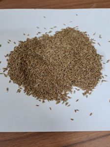 cumin seeds