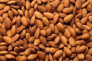 Hard Common Almond Nuts, Color : Light Brown for Human Consumption