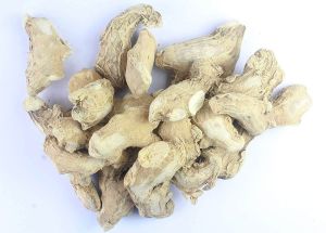 Natural Dry Ginger, Form : Whole for Food, Spices, Medicinal