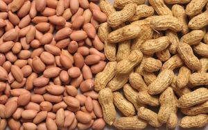 Organic Groundnut Standard, Form : Solid for Human Consumption