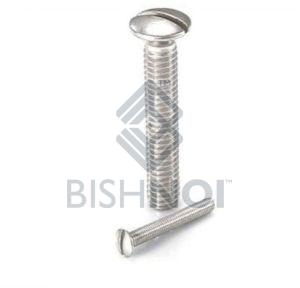 Slotted Raised Countersunk Head Screws Standard