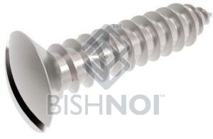 Slotted Raised Countersunk Tapping Screws Standard