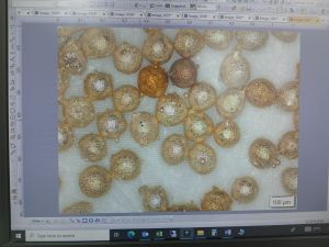 Spherical Bronze Powder