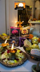 Shree Saarthi Dhoop Cone