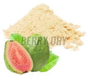 Guava Powder, Color : Creamy, Purity : 100%, Taste : Sweet