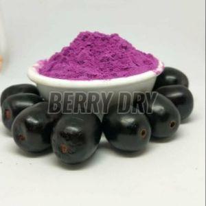 Raw Jamun Powder, Color : Purple, Purity : 100%