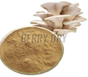 Raw Mushroom Powder, Color : Brown, Purity : 99%