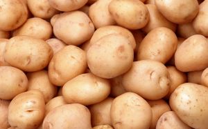fresh potato