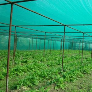 Agro Shade Net