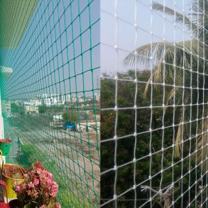 Monofilament Mesh Bird Protection Net, Color : Green, White