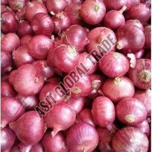 Organic A Grade Red Onion, Packaging Type : Gunny Bag for Cooking