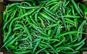 Fresh Green Chilli