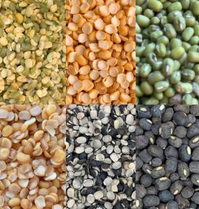 Organic Indian Pulses, Color : Multicolor