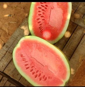 Fresh Watermelon