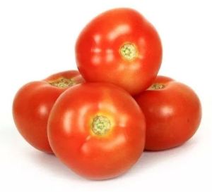 fresh red tomato