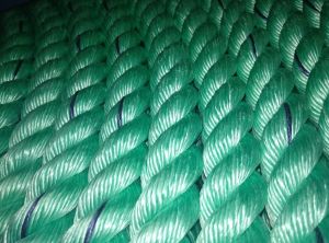 Green Danline Virgin Rope