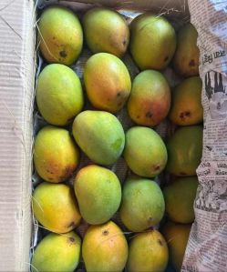 fresh mango