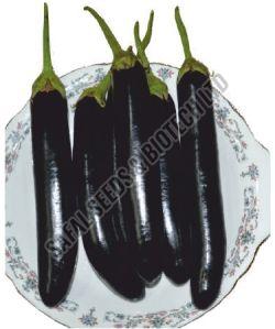 Dark Purple Organic F1-Disha Brinjal Seeds, For Seedlings, Packaging Type : Plastic Pouch