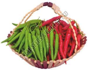 F1-Rakul Chilli Seeds, For Seedlings, Packaging Type : Plastic Packet