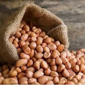 Natural Groundnut Seeds