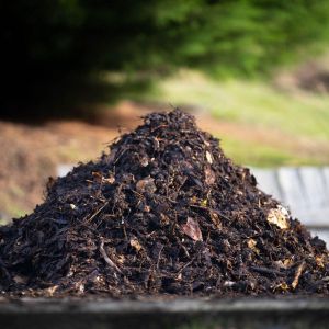 Organic Compost