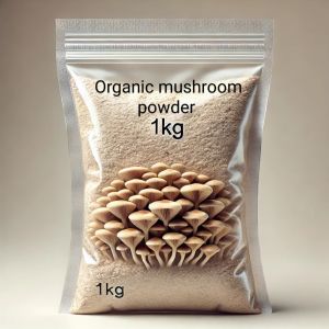 Organic Oyster Mushroom Powder, Packaging Size : 1Kg