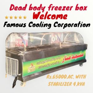 Dead Body Freezer Box