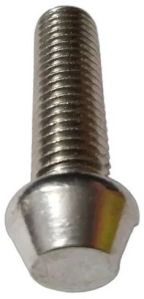 Polished Stainless Steel Anti Theft Bolt, Color : Silver