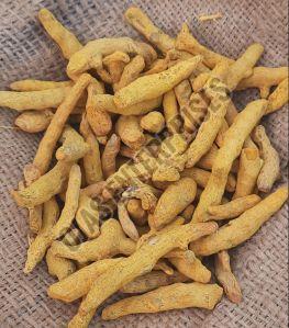 Natural Dried Raw Turmeric Finger, Color : Yellow