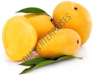 Natural Fresh Badami Mango, Packaging Size : 10Kg