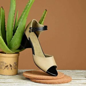 Women Solid Block Heels Shoes