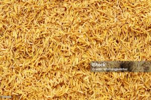 Rice Husk Ash Rice Husk Ash