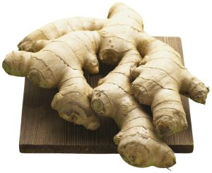 Ginger