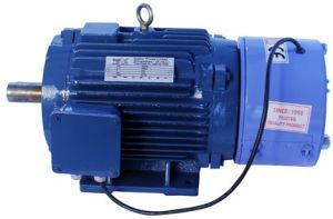 AC Brake Motor