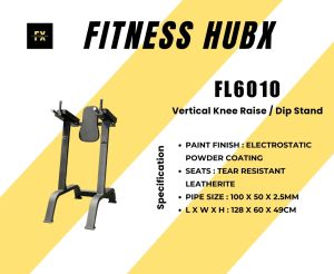 Vertical Knee Raise Machine