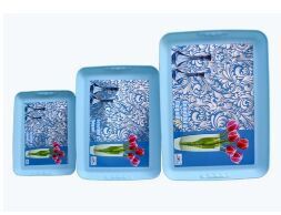 Plastic Serving Tray