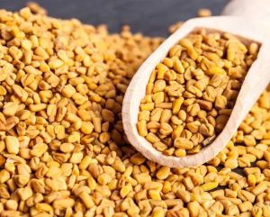 Fenugreek Seed, Color : Brown for Enhancing Flavor, Aiding Digestion.
