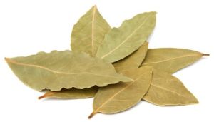 Dry Bay Leaf